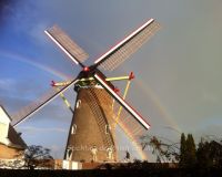 De Korenbloem Molen Mill 2